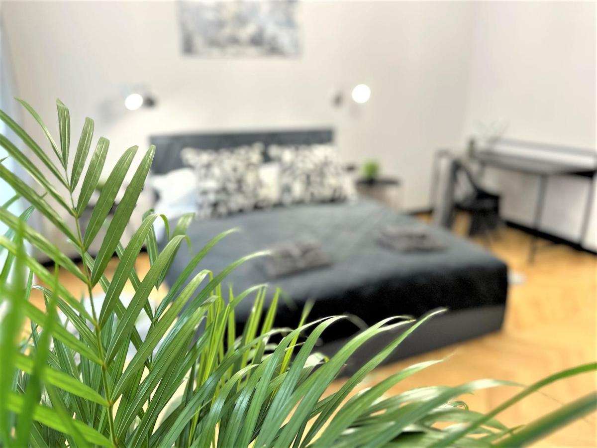 Luxury 100M2 Loft Design-Apartment At Wawel + Netflix Krakau Exterior foto